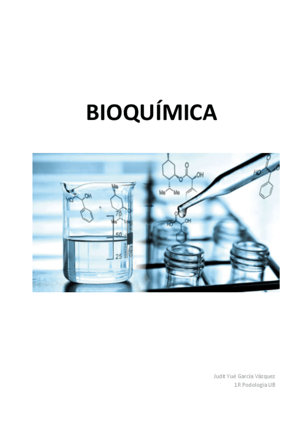 Miniatura del documento APUNTS-BQ-UB-2022.pdf