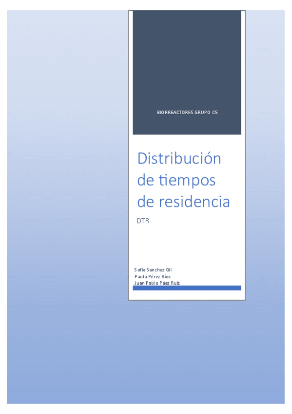 Miniatura del documento INFORME-DTR.pdf
