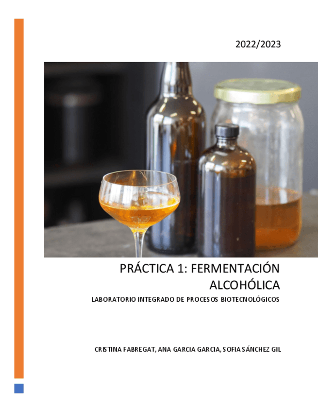 Miniatura del documento informe-fermentacion.pdf