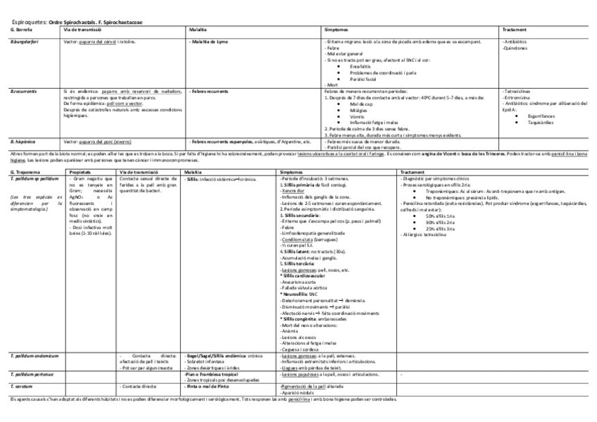Miniatura del documento TOTA LA TEORIA- resumida en taules.pdf