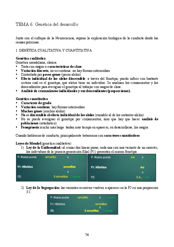Miniatura del documento TEMA 6.pdf