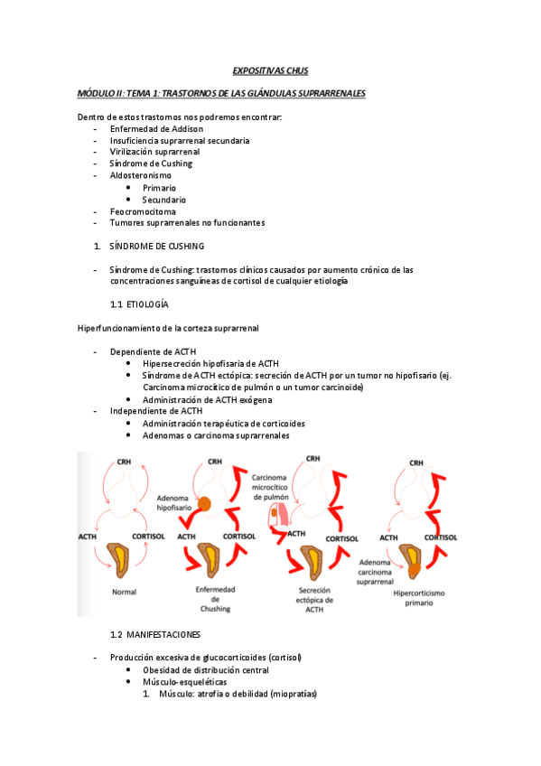 Miniatura del documento EXPOSITIVAS-CHUS--TONO.pdf