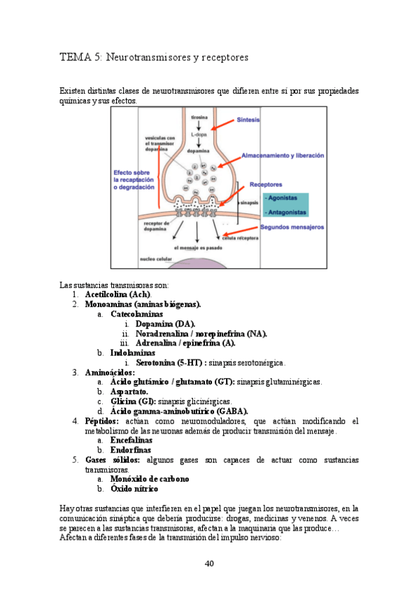 Miniatura del documento TEMA 5.pdf