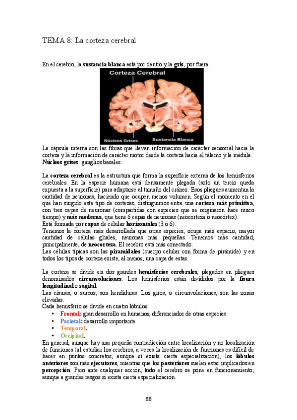 Miniatura del documento TEMA 8.pdf