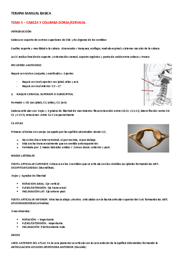 Miniatura del documento TEMA-5-CABEZA-Y-CERVICAL.pdf