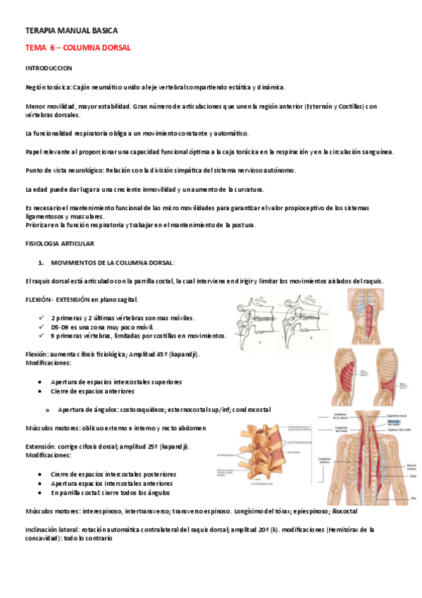 Miniatura del documento TEMA-6-COLUMNA-DORSAL.pdf