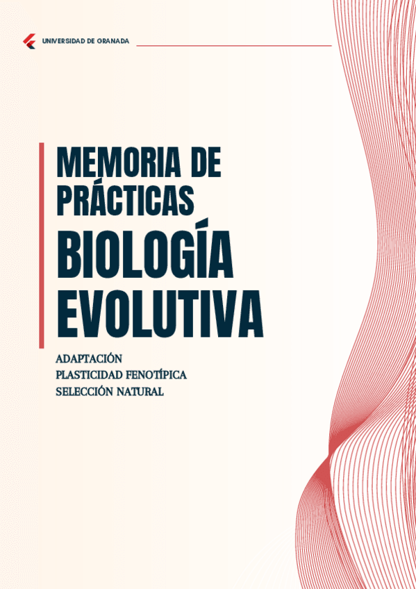 Miniatura del documento Memoria-de-practicas.pdf