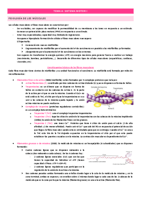 Miniatura del documento Tema-4.pdf