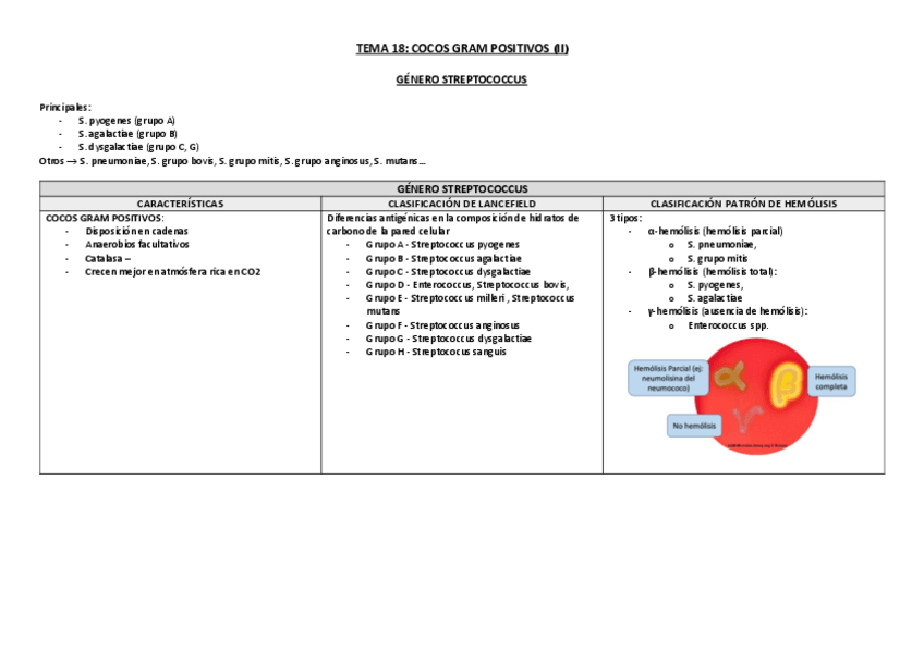 Miniatura del documento Tema-18-Cocos-Gram-Positivos-II-TABLA.pdf