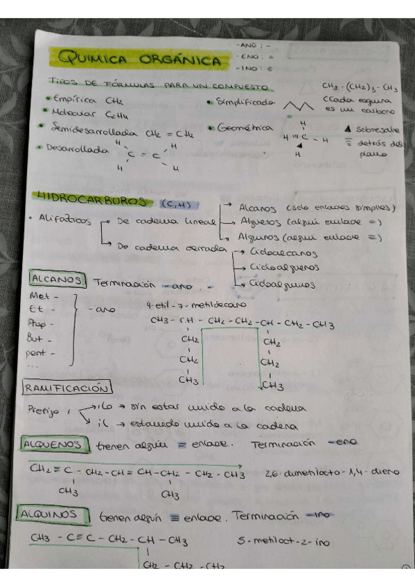 Miniatura del documento QUIMICA-ORGANICA.pdf