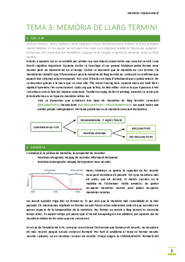 Miniatura del documento TEMA-3-MEMORIA-A-LLARG-TERMINI.pdf