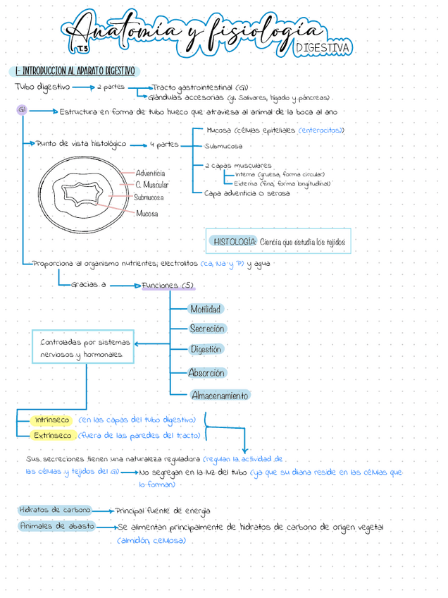 Miniatura del documento tema-3.1-fisiologia-digestiva.pdf