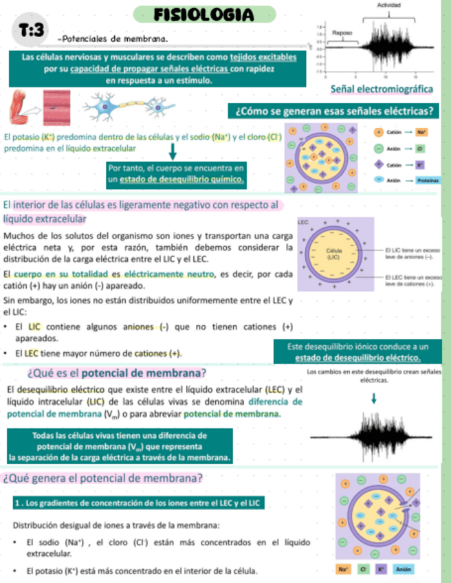 Miniatura del documento T3.pdf
