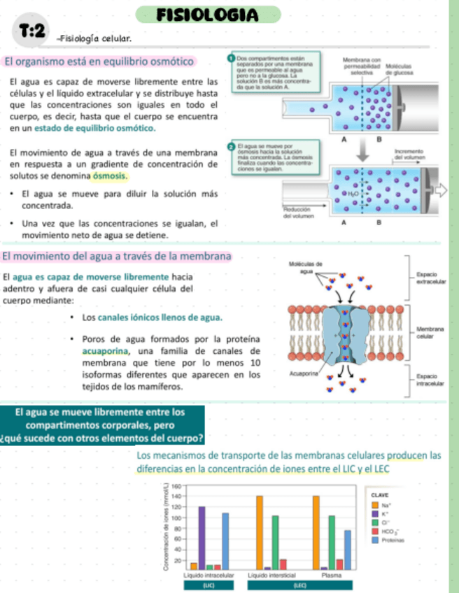 Miniatura del documento T2.pdf