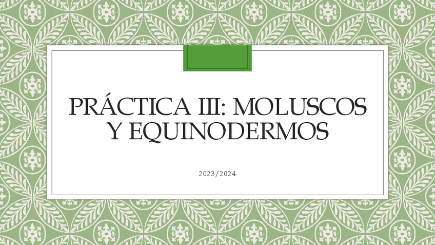 Miniatura del documento visu-moluscos-y-equinodermos.pdf