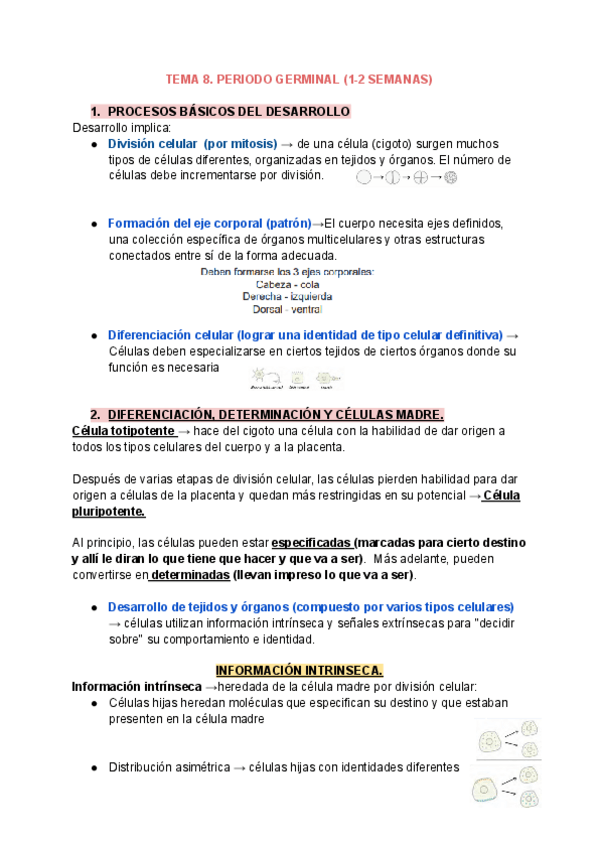 Miniatura del documento TEMA-8.-PERIODO-GERMINAL.pdf