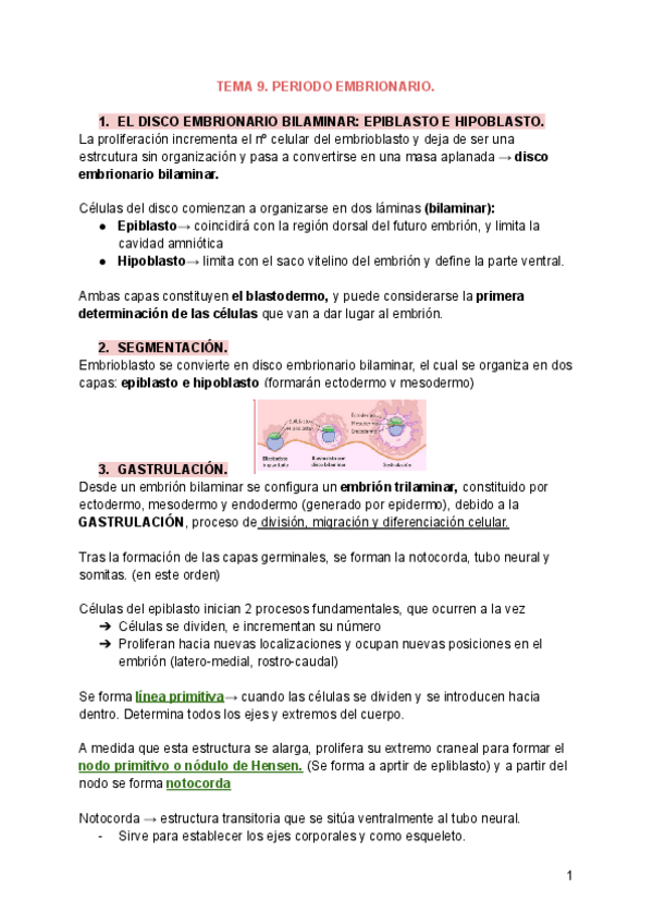 Miniatura del documento TEMA-9.-PERIODO-EMBRIONARIO..pdf