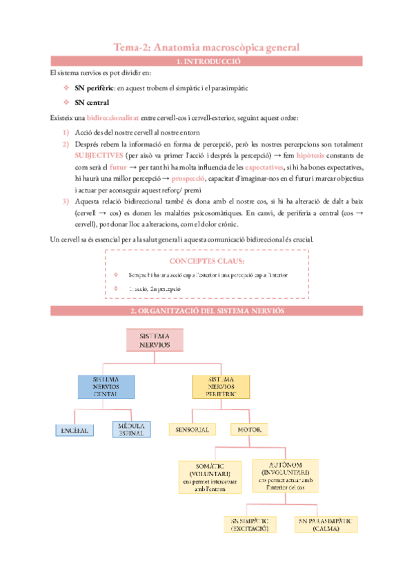 Miniatura del documento Tema-2-anatomia-macroscopica-general.pdf