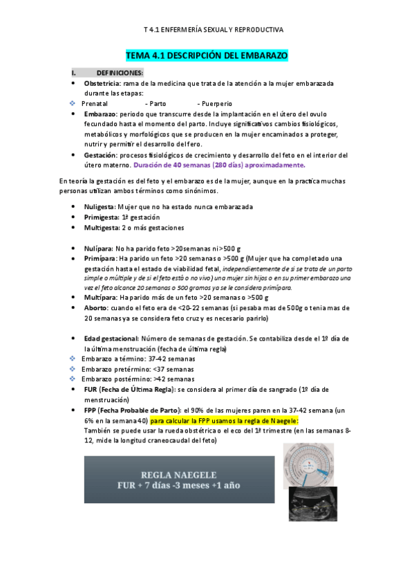 Miniatura del documento T-4.1-SyR-Descripcion-del-embarazo.pdf