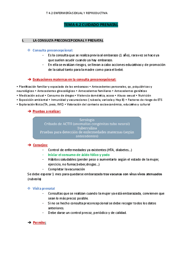 Miniatura del documento T-4.2-SyR-Cuidado-prenatal.pdf
