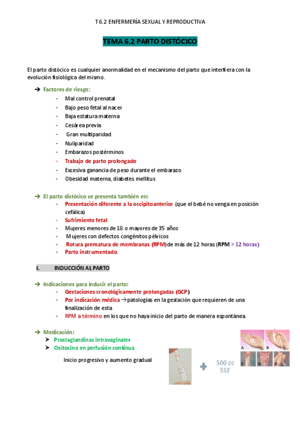 Miniatura del documento TEMA-6.2-SyR-Parto-distocico.pdf