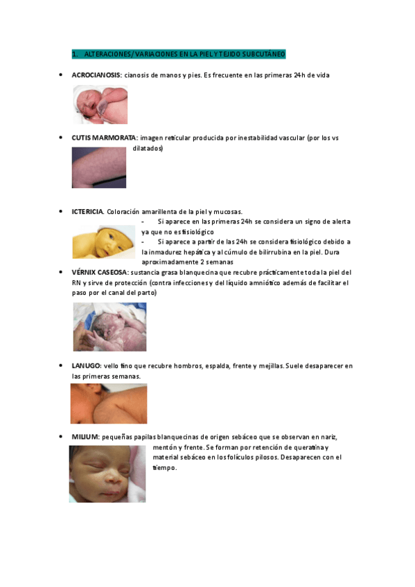 Miniatura del documento T3-explicacion-circulacion-fetal-y-patologias-neonatales.pdf