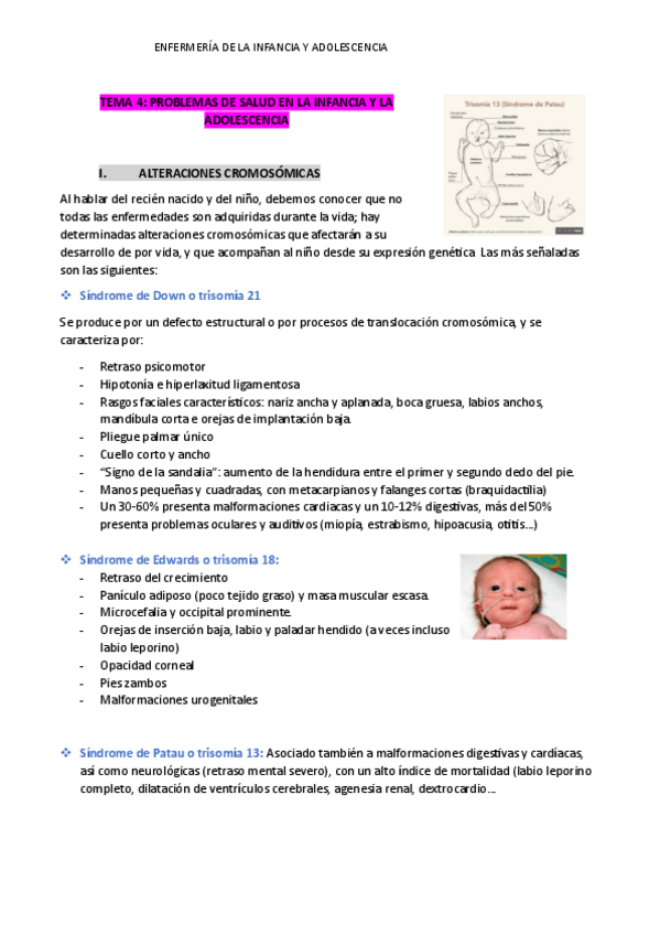 Miniatura del documento T4-apuntes-pedi.pdf