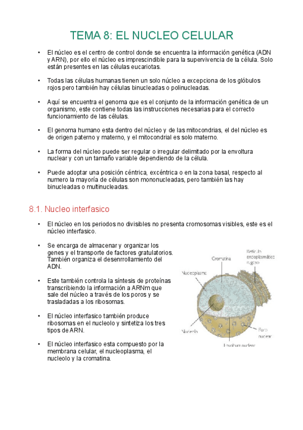 Miniatura del documento Tema8-nucleo-celular.pdf