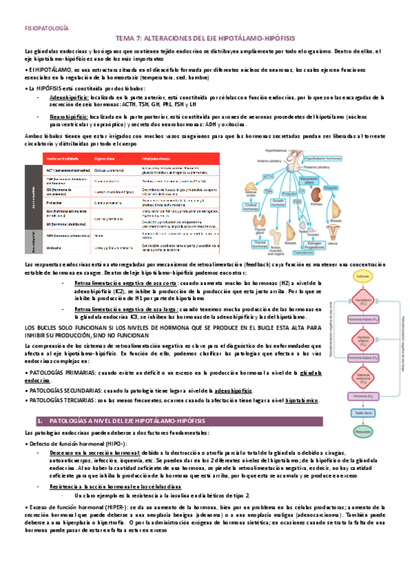 Miniatura del documento T7. Alteraciones eje hipotálamo-hipófisis.pdf