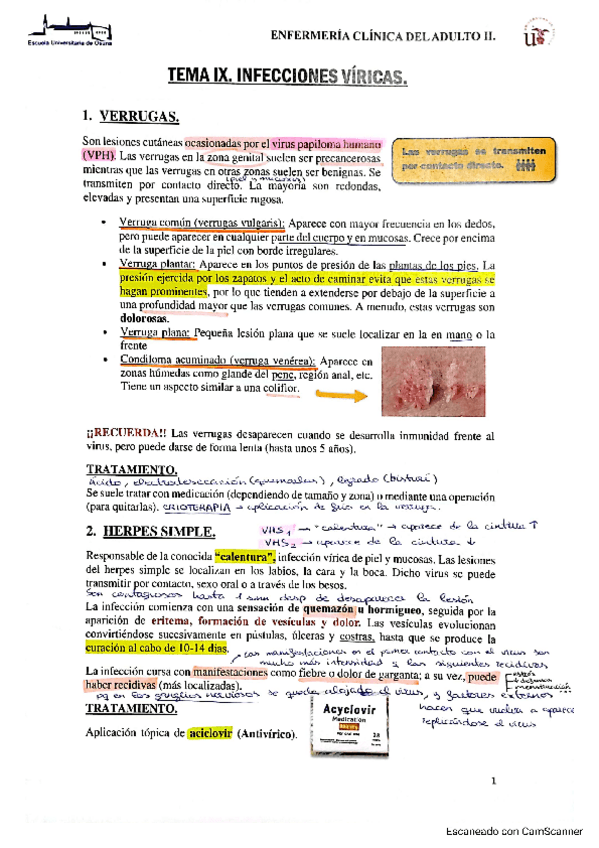 Miniatura del documento TEMA-9-INFECCIONES-VIRICAS.pdf