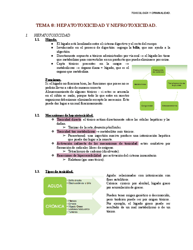 Miniatura del documento TEMA-8-toxi.pdf