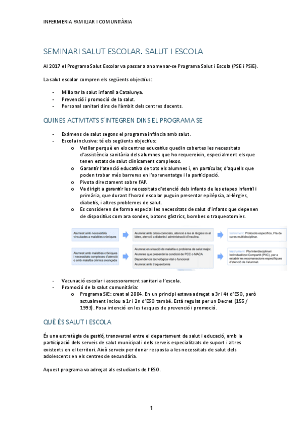 Miniatura del documento SEMINARI-SALUT-I-ESCOLA.pdf
