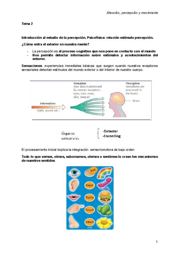 Miniatura del documento Tema-2.1-Atencion-percepcion-y-motivacion.pdf