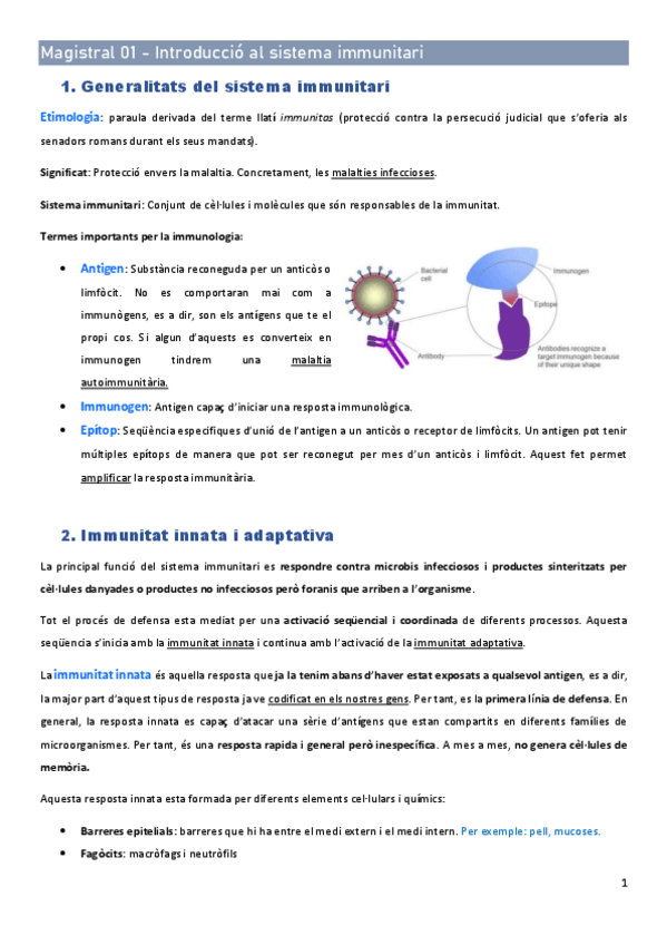 Miniatura del documento DOSSIER-BASES-23-24.pdf