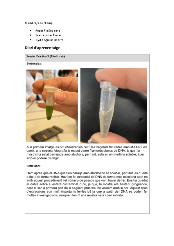 Miniatura del documento Practica-2.pdf