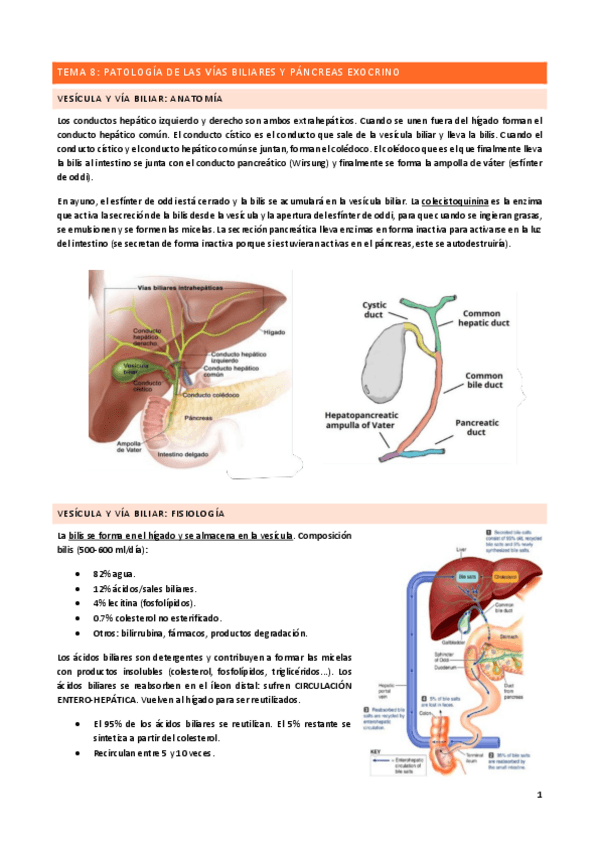 Miniatura del documento Tema-8.pdf