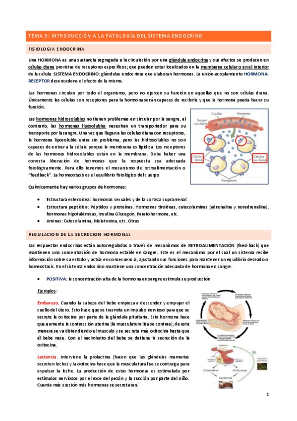 Miniatura del documento Tema-9.pdf