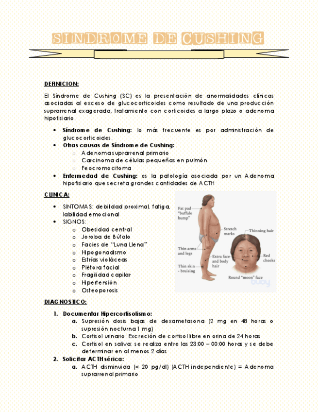 Miniatura del documento SINDROME-DE-CUSHING.pdf