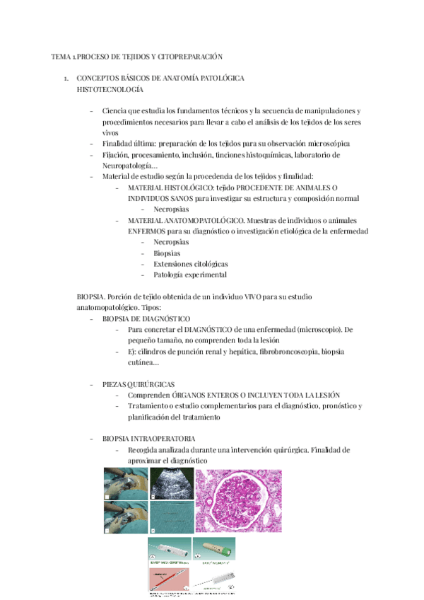 Miniatura del documento TEMA-1.PROCESO-DE-TEJIDOS-Y-CITOPREPARACION.pdf