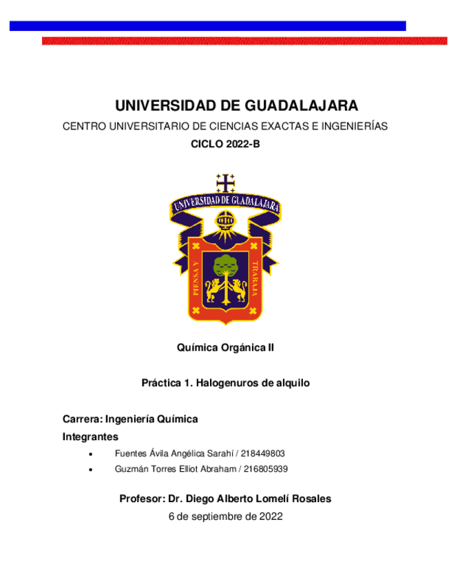 Miniatura del documento Practica-1.-Halogenuros-de-alquilo.pdf