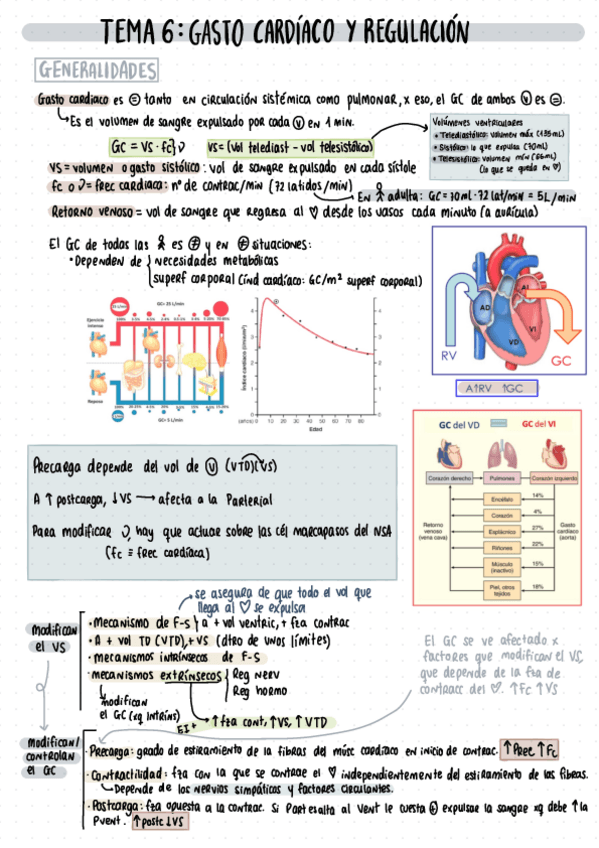 Miniatura del documento Tema-6-Fisiologia.pdf