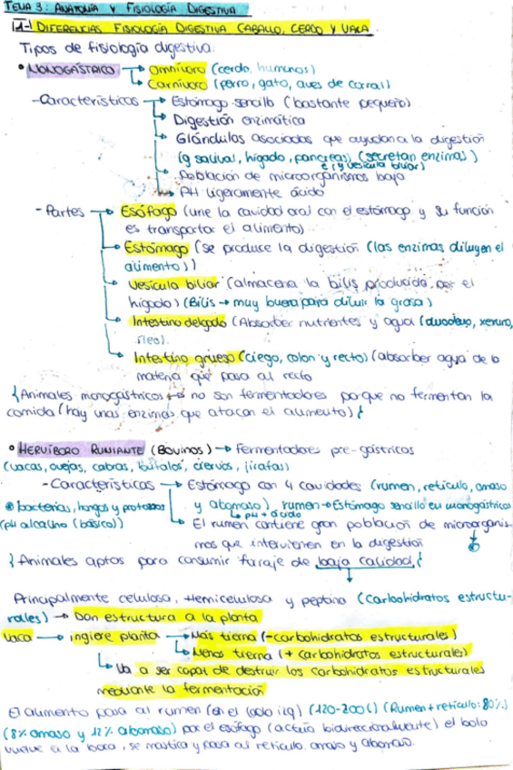 Miniatura del documento tema-3-anatomia-y-fisiologia-digestiva.pdf