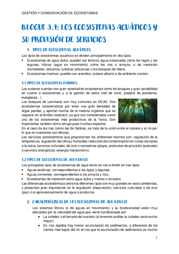 Miniatura del documento Tema-3.1-GCE.pdf