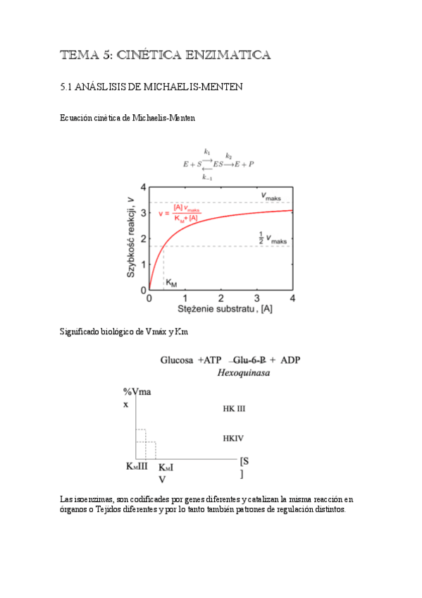 Miniatura del documento Tema-5-Bioquimica.pdf