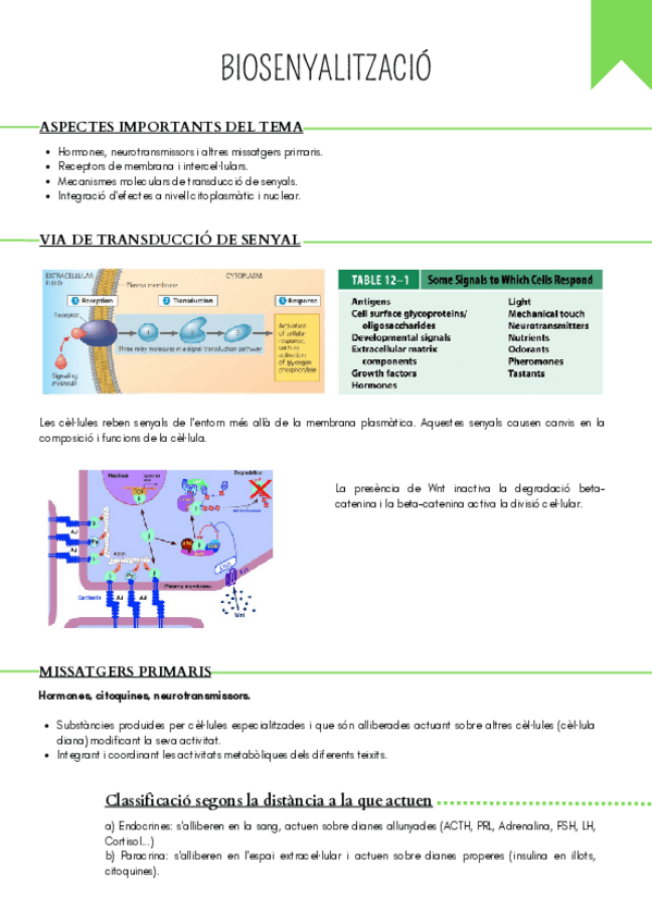 Miniatura del documento Tema-3.-BIOSENYALITZACIO.pdf