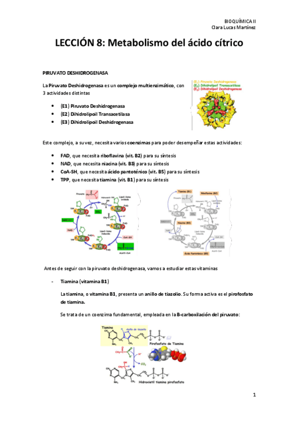 Miniatura del documento LECCION-8.-Metabolismo-del-acido-citrico.pdf
