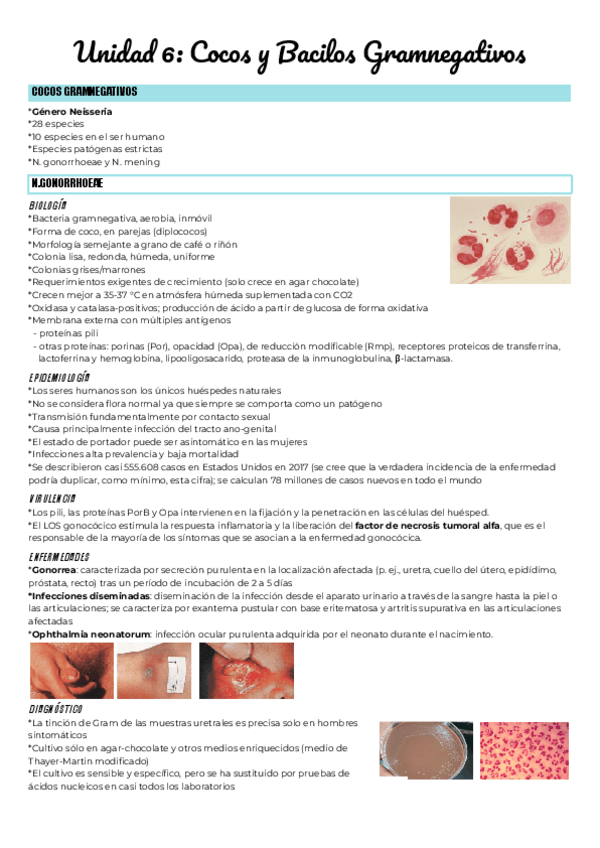 Miniatura del documento Unidad-6-Cocos-y-Bacilos-Gramnegativos.pdf