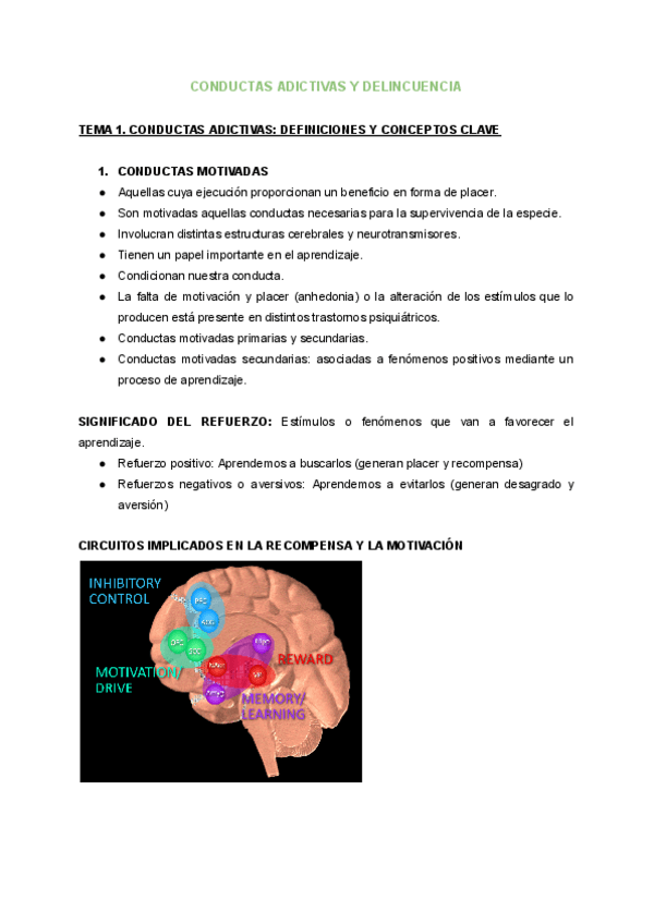 Miniatura del documento CONDUCTAS-ADICTIVAS.pdf