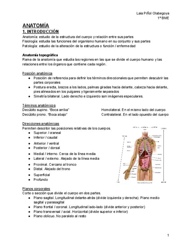 Miniatura del documento ANATOMIA-1r-cuatri.pdf