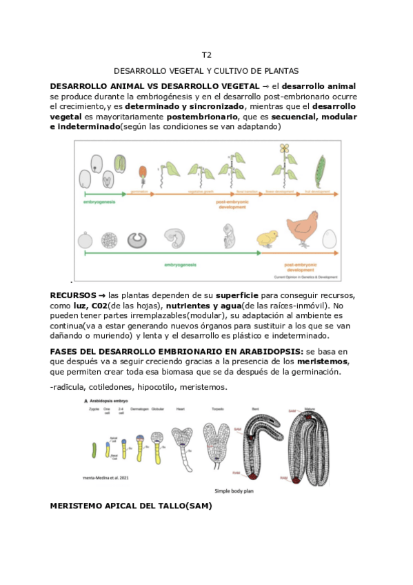 Miniatura del documento t2-biotech-vegetal.pdf